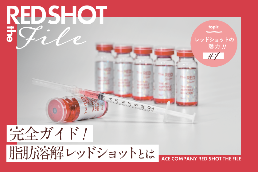レッドショット完全版ガイドブックのアイキャッチ画像
