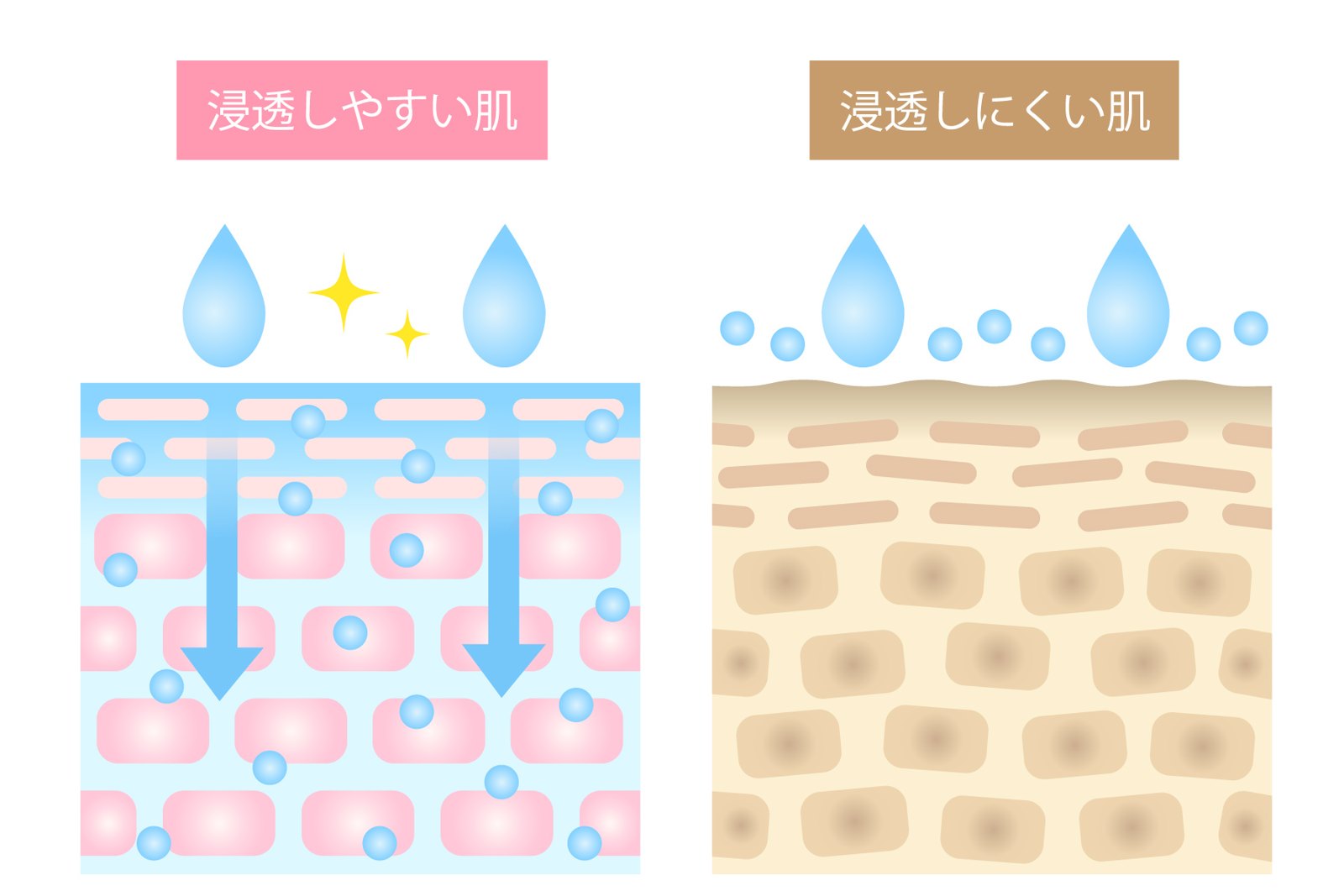 美容液がなじみやすい肌となじみにくい肌を比べた図